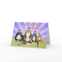 Cats, merry Christmas from the gang, humor