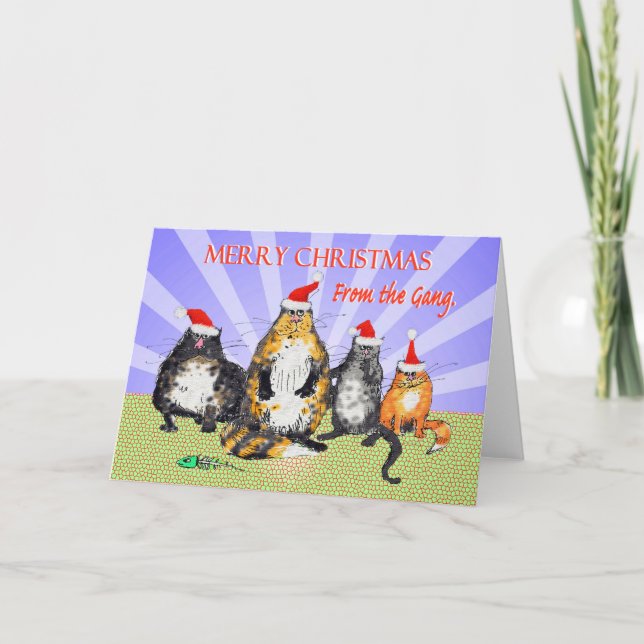 Cats, merry Christmas from the gang, humor Holiday Card (Front)