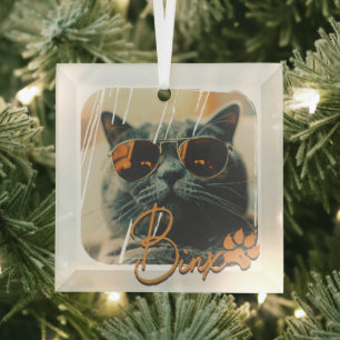 Cat's Modern Simple Cool Grunge Name and Photo Glass Ornament