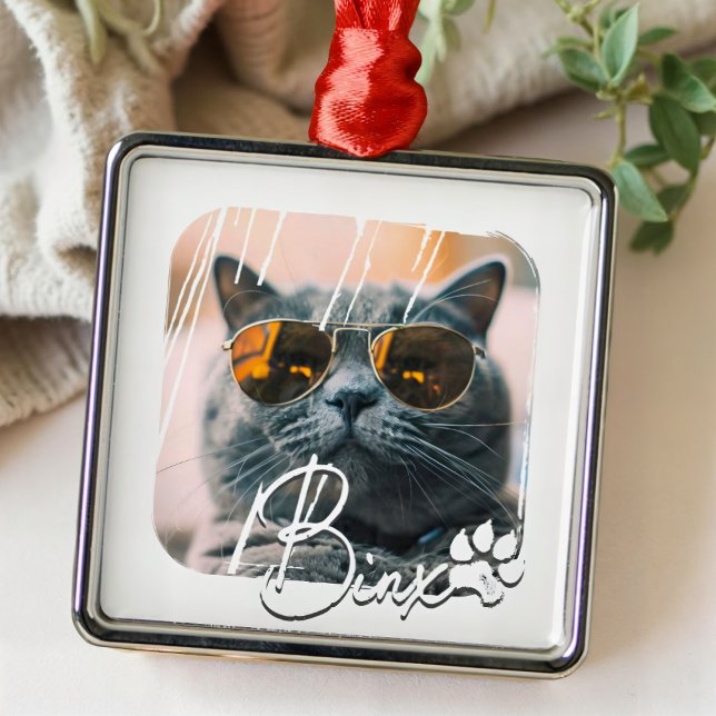 Cat's Modern Simple Cool Grunge Name and Photo Metal Ornament (Creator Uploaded)