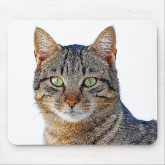 cats mouse pad