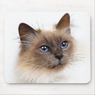 CATS MOUSE PAD