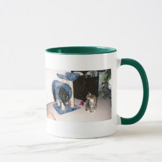 cats mug