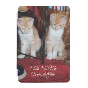 Cats Name Photo Customizable IPad Cases Covers