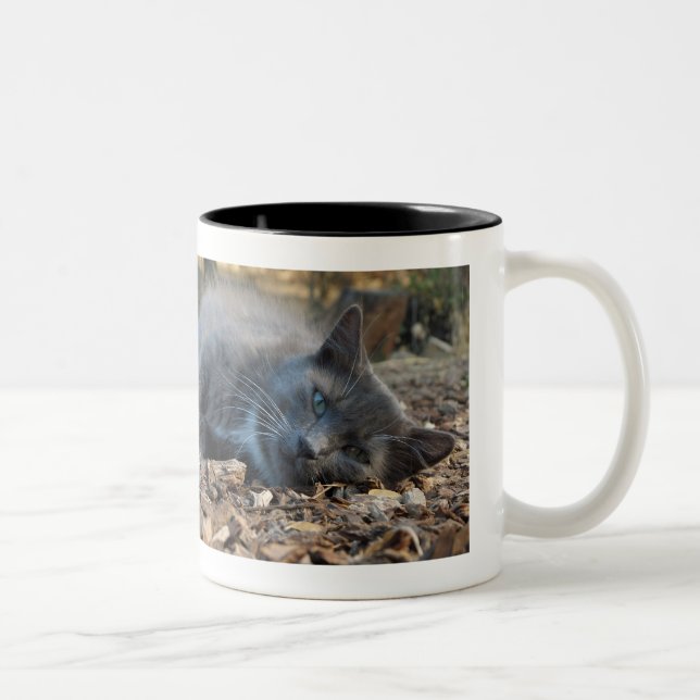 Cats & Naps Sleepy Shady Mug (Right)