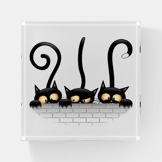 Cats Naughty, Playful and Funny Characters Paperweight (Front)