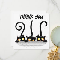 Cats Naughty, Playful and Funny Characters