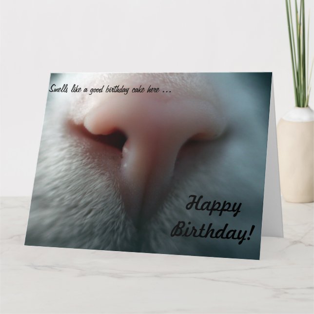 Cat's Nose for Big Birthday Card (Front)