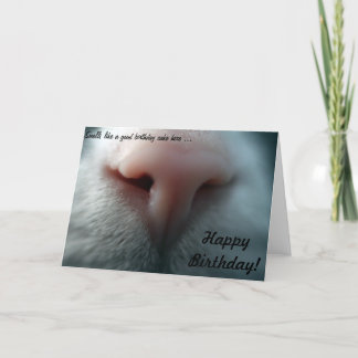 Cat's Nose for Birthday Card