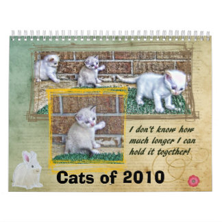Cats of 2010 calendar