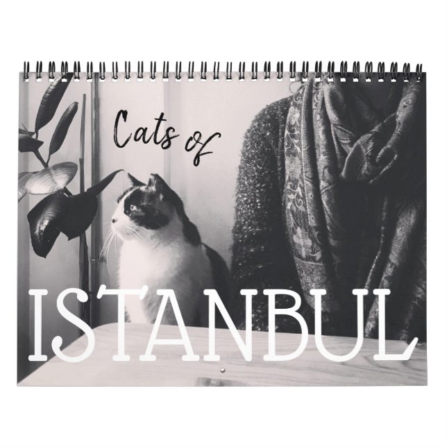 Cats of ISTANBUL Calendar (Cover)