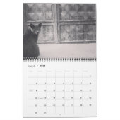 Cats of ISTANBUL Calendar (Mar 2025)