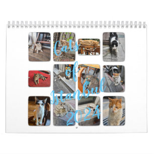 Cats of Istanbul Calendar