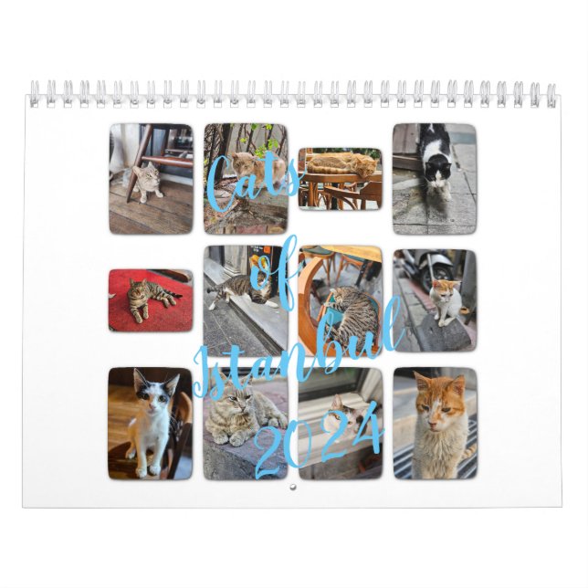Cats of Istanbul Calendar (Cover)