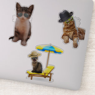 Cats On Beach Sticker