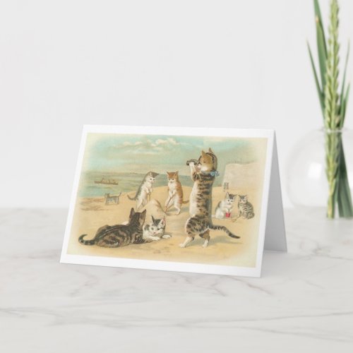 Cats on the Beach Vintage Greeting Card