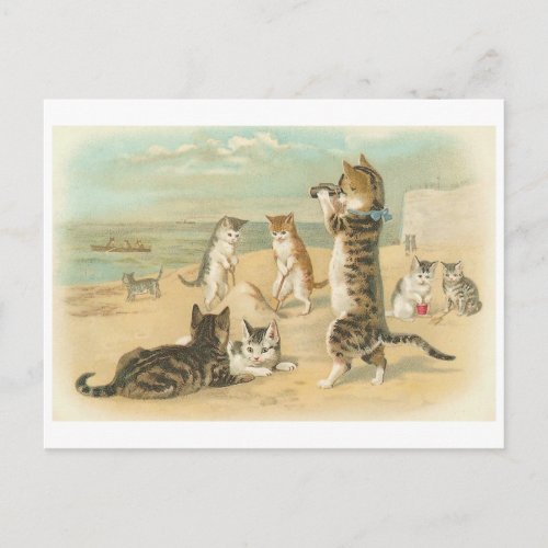 Cats on the Beach  Vintage Postcard