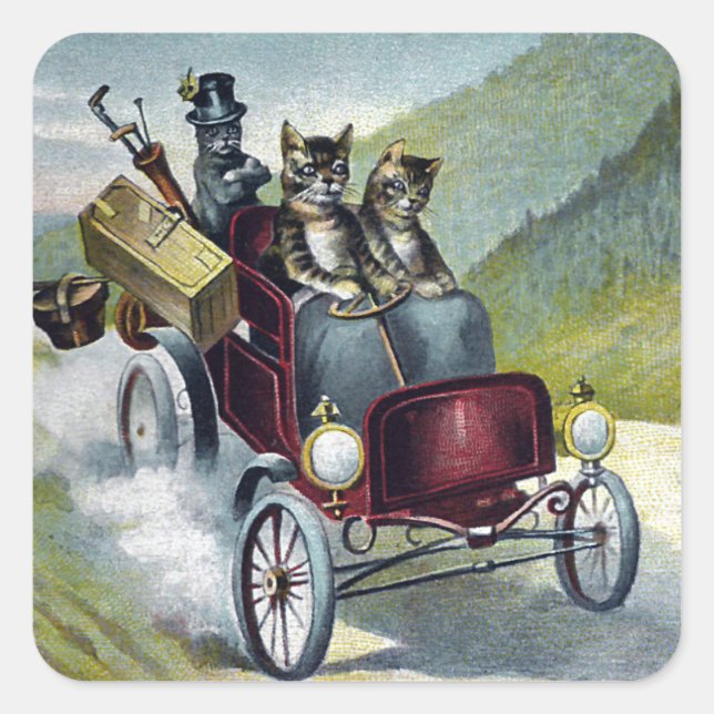 Cats on Vacation in the Catskill Mountains Square Sticker (Front)