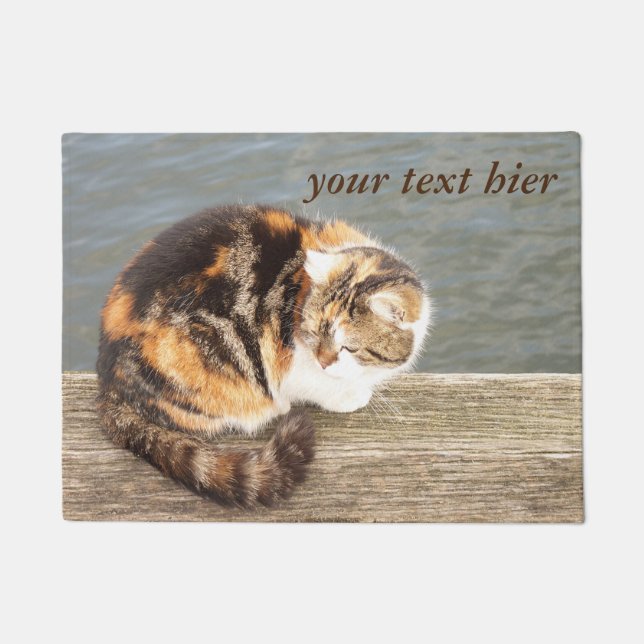 cats on water doormat (Front)