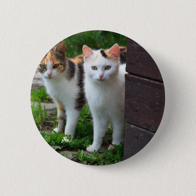 Cats out playing button (Front)
