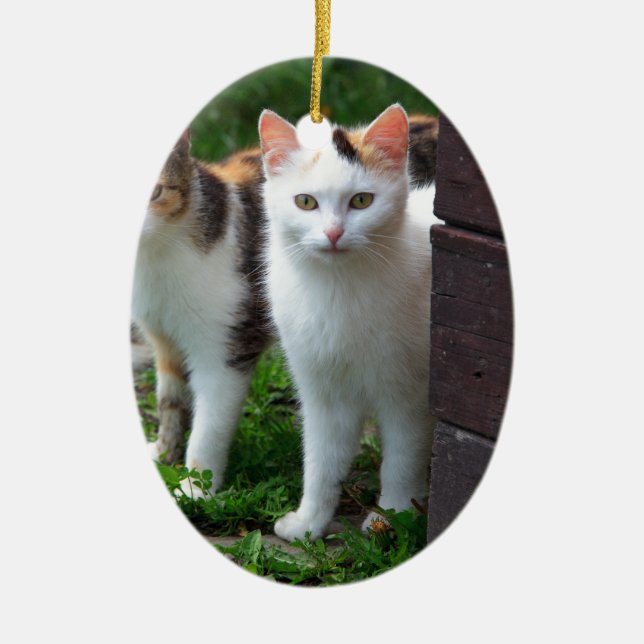 Cats out playing ceramic ornament (Front)