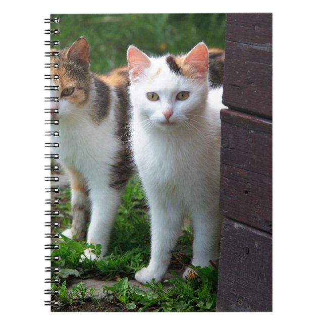 Cats out playing notebook (Front)