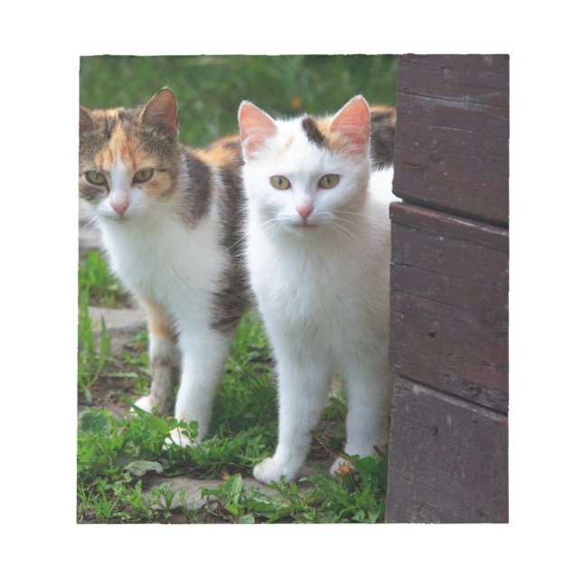 Cats out playing notepad (Front)