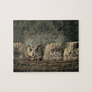 Cats & Owl Puzzle