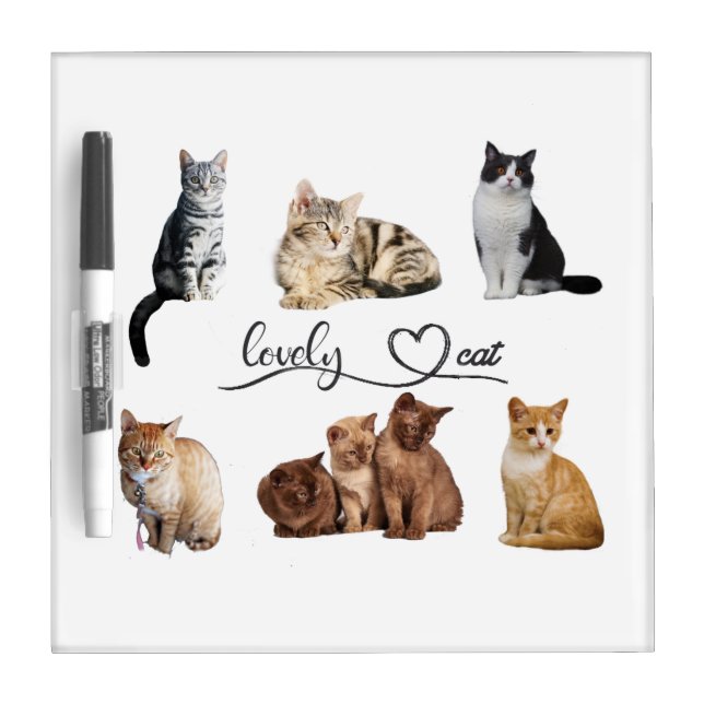 cats package, Funny cats package Dry Erase Board (Front)