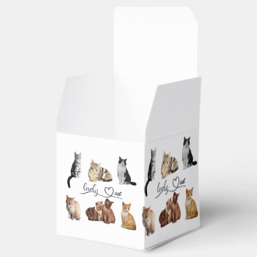 cats package Funny cats package Favor Boxes