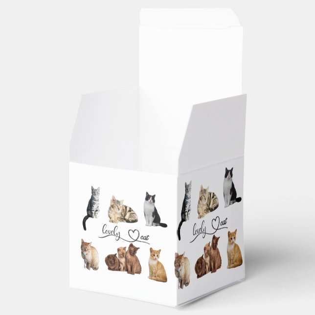 cats package, Funny cats package Favor Boxes (Opened)