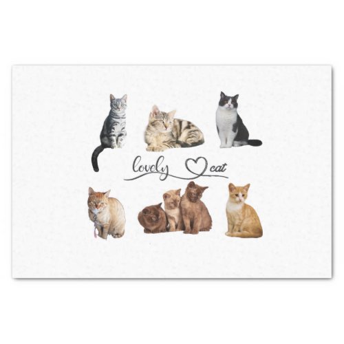 cats package Funny cats package Tissue Paper