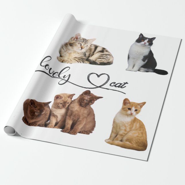 cats package, Funny cats package Wrapping Paper (Unrolled)