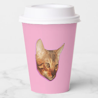 Cats Paper Cups