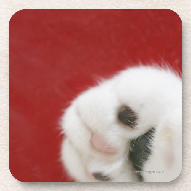 Cat's paw coaster (Front)