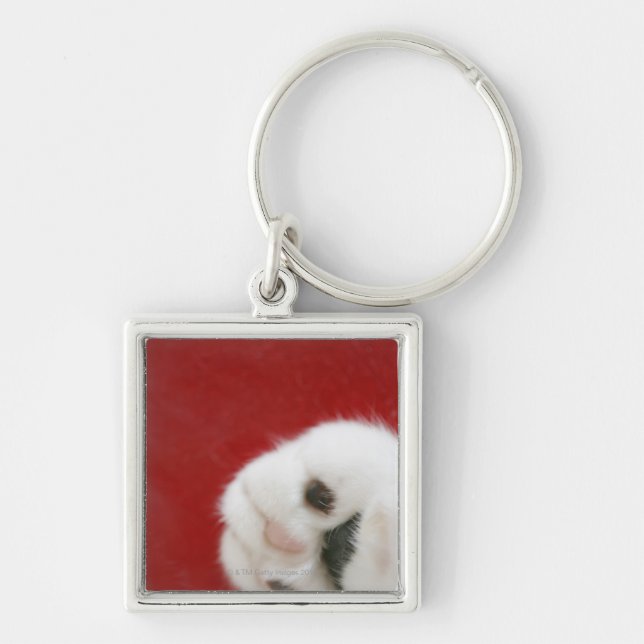 Cat's paw keychain (Front)