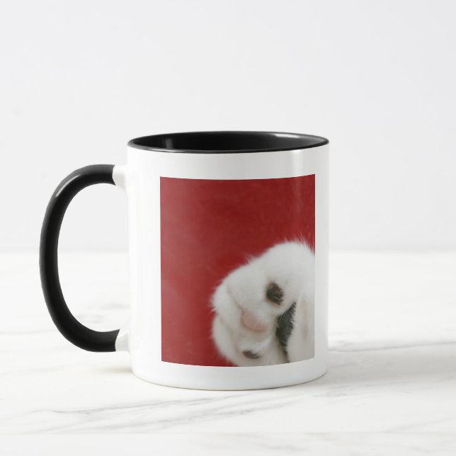 Cat's paw mug (Left)
