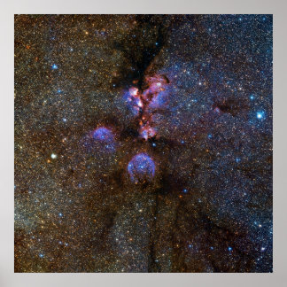 Cats Paw Nebula in Scorpius - space picture Poster