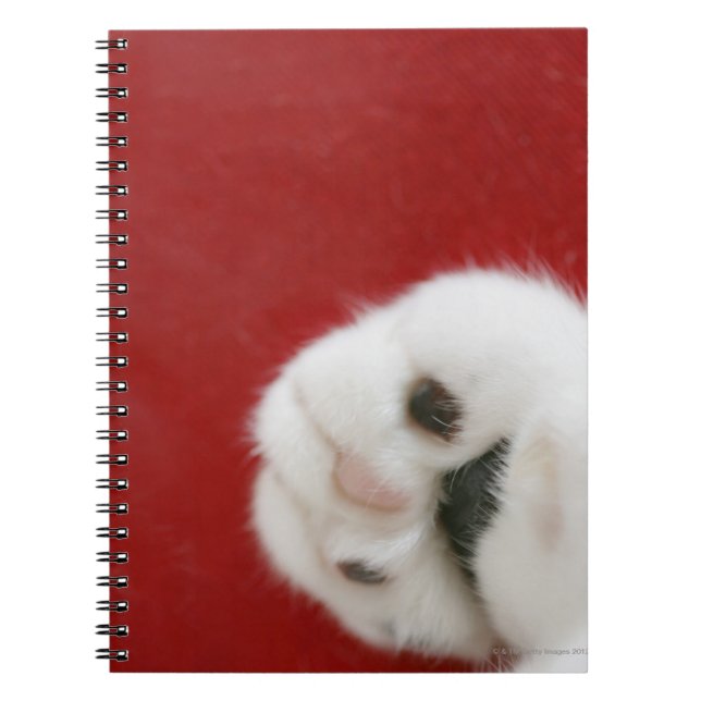 Cat's paw notebook (Front)