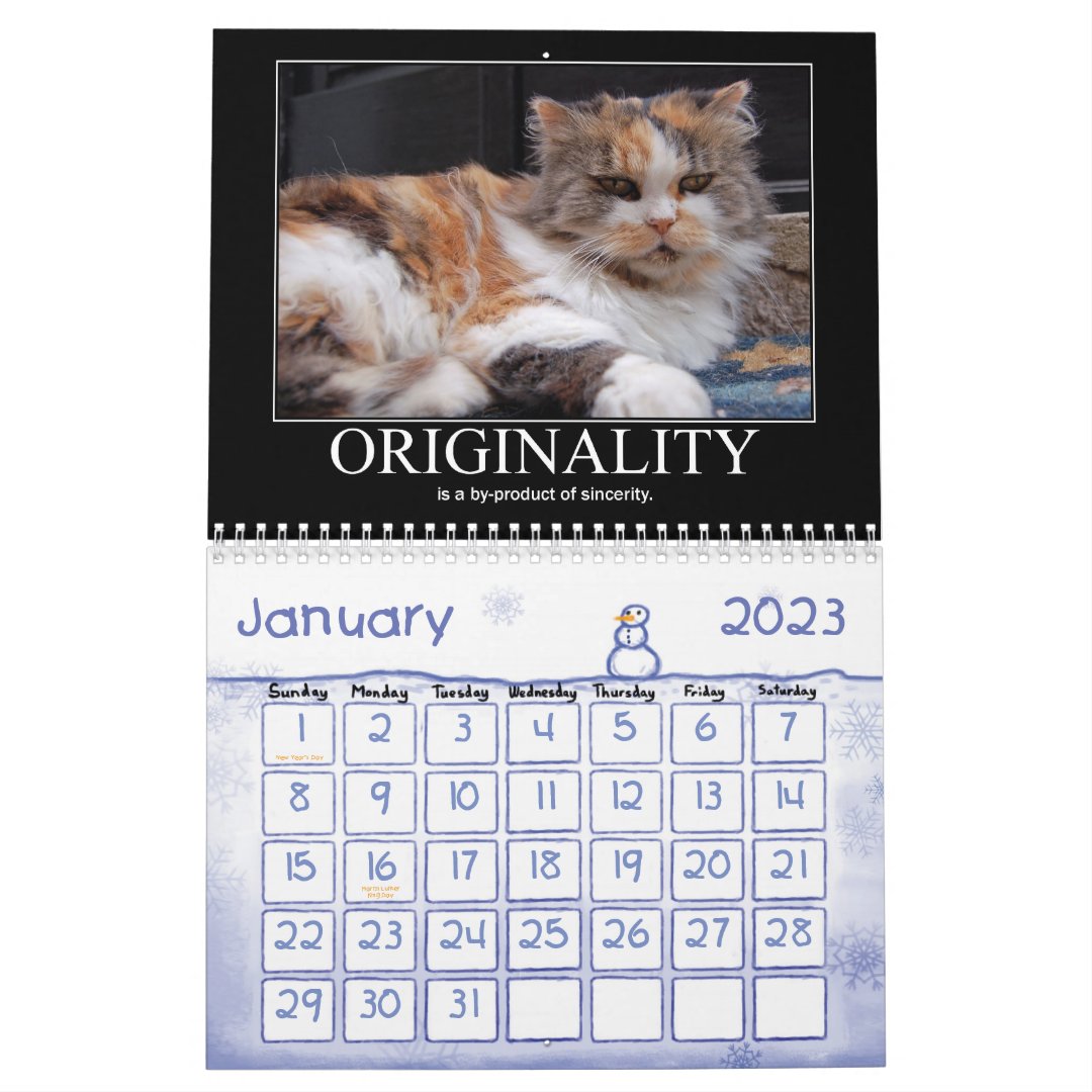 Cats Philosophy Calendar | Zazzle