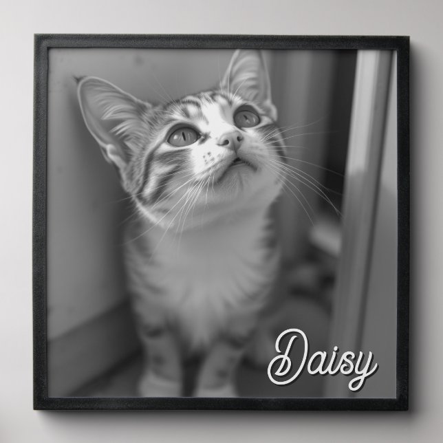 Cat's Photo and Name Personalized Black & White Peel And Stick Photo Tile (Front Set)