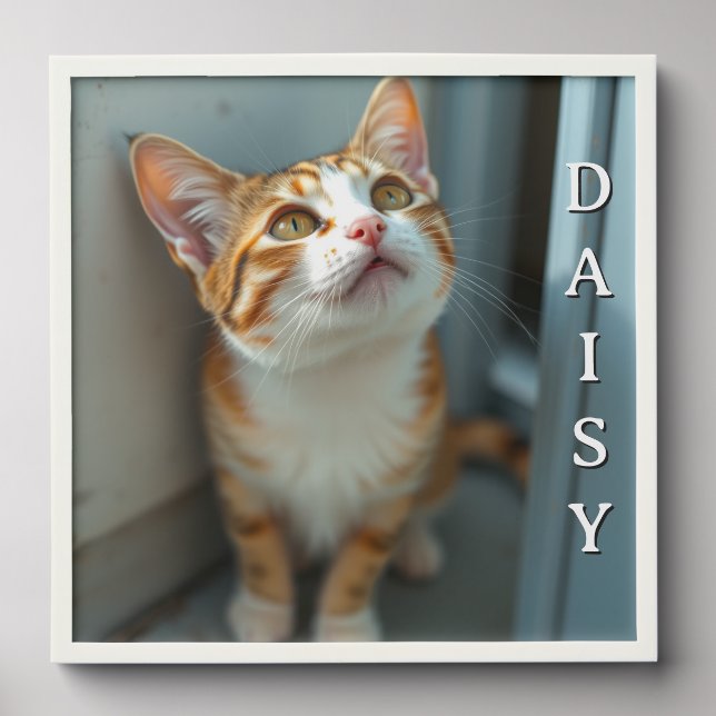 Cat's Photo and Name Personalized  Peel And Stick Photo Tile (Front Set)