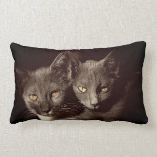 Cats Photo Lumbar Pillow 33 cm x 53 cm