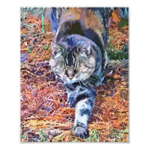 CATS PHOTO PRINT