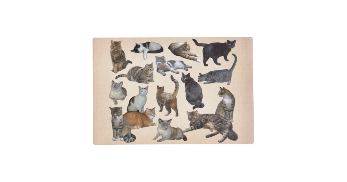 Cats Placemat | Zazzle