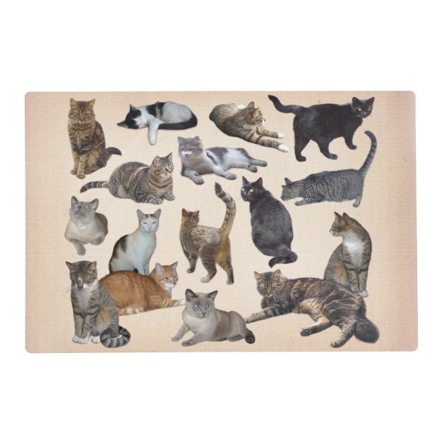 Cats Placemat (Front)