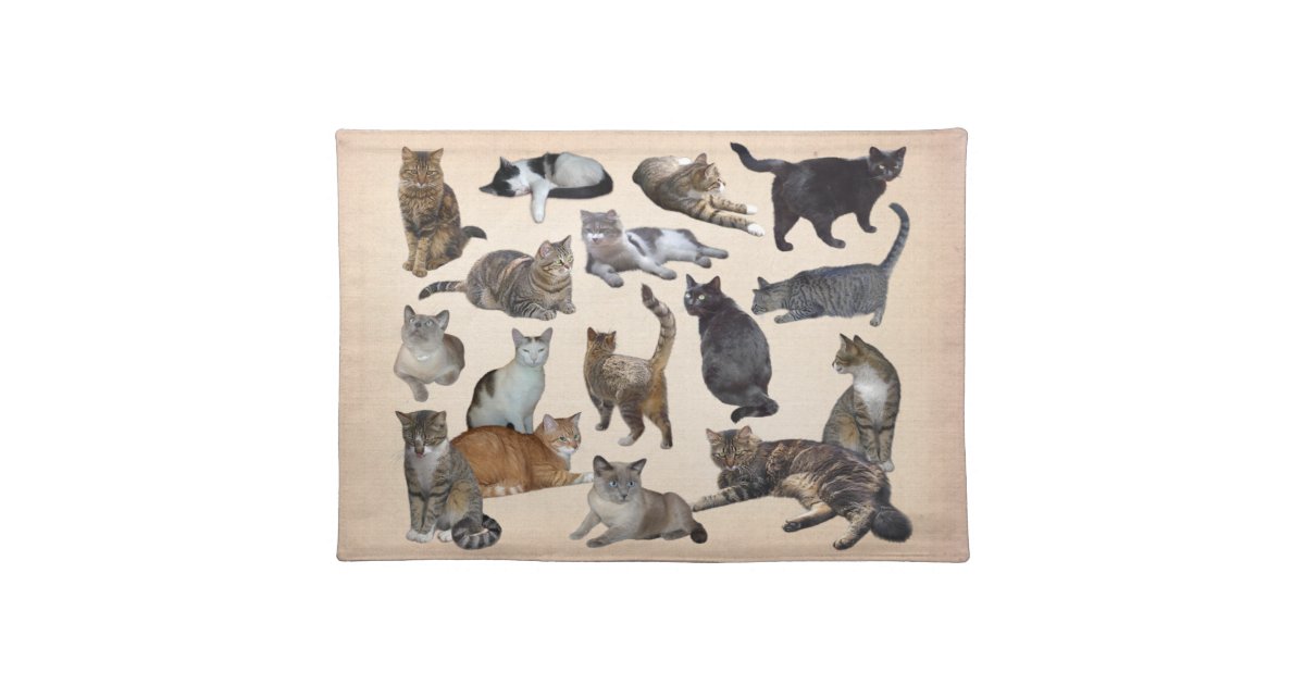 Cats Placemat Zazzle
