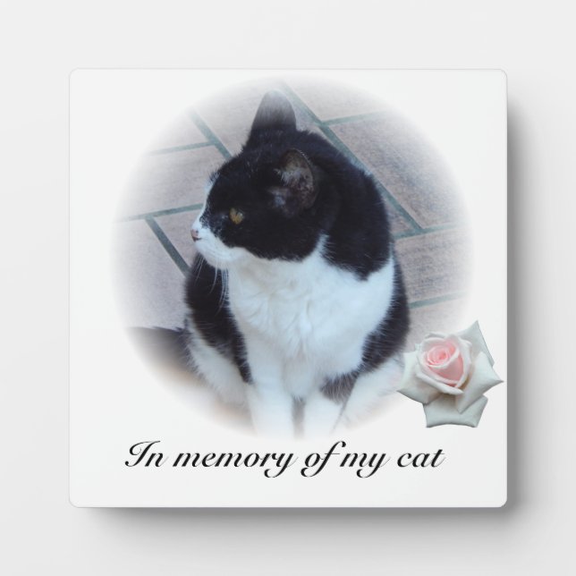 Cats Plaque (Front)
