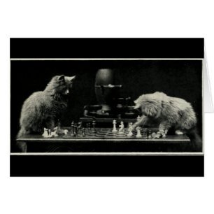 Cats Playing Chess