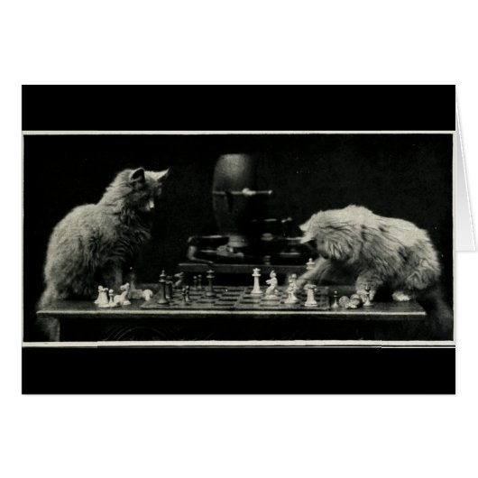 Cats Playing Chess Cards (Front Horizontal)